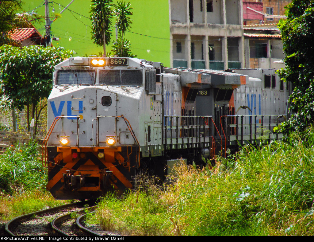 VLI 8667